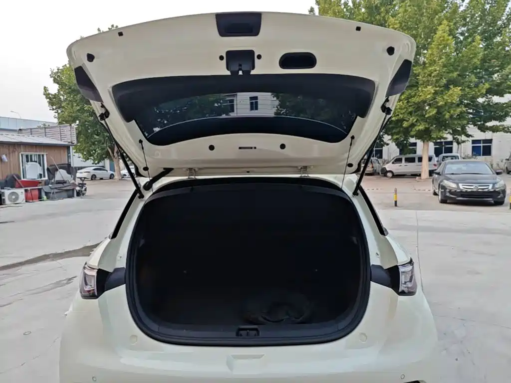 BYD Dolphin — миниатюра 19