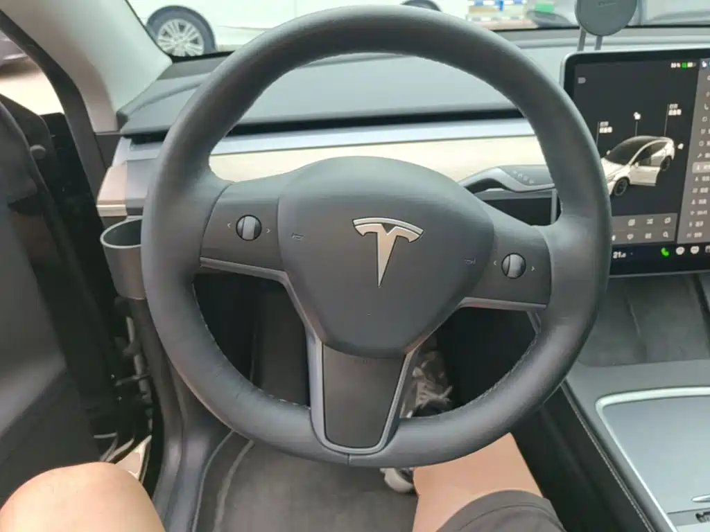 Tesla Model Y — миниатюра 11