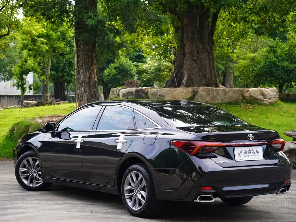 Toyota Avalon 2019 2.0L Luxury VI