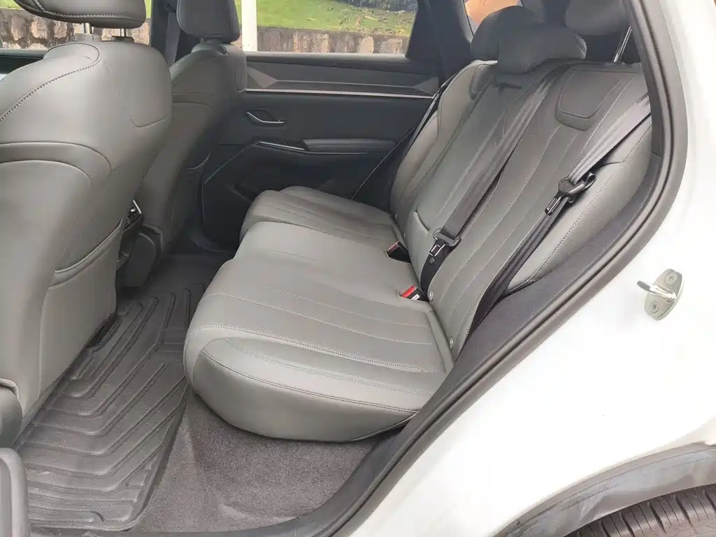 BYD Pro New Energy — миниатюра 15