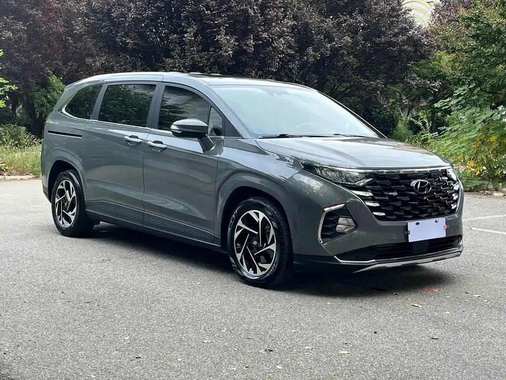 Hyundai Custo — миниатюра 8