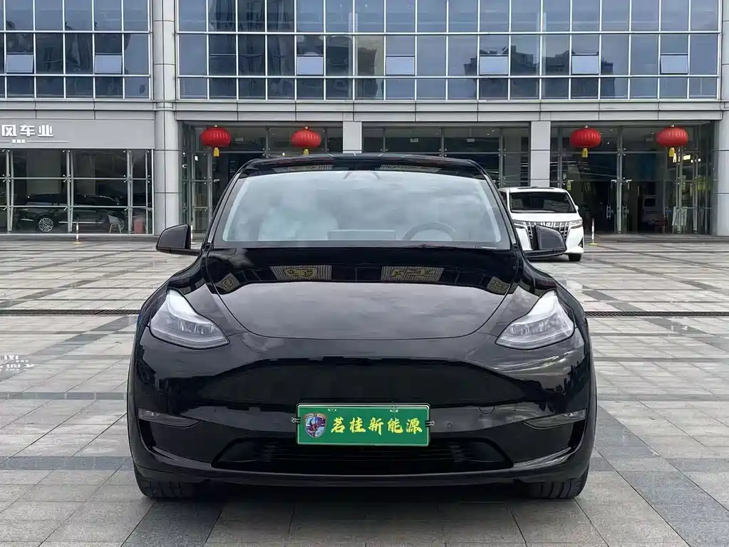 Tesla Model Y — миниатюра 2