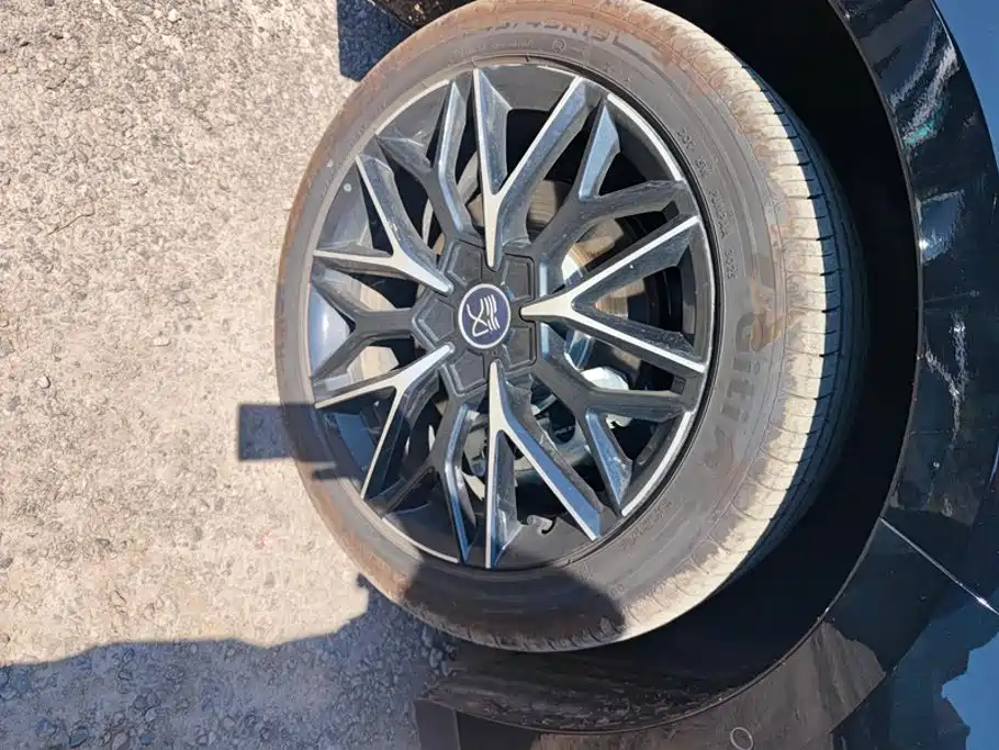 BYD Han — миниатюра 6