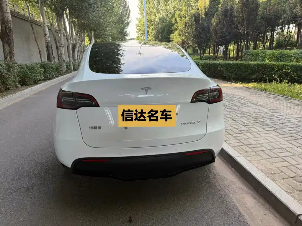Tesla Model Y — миниатюра 9