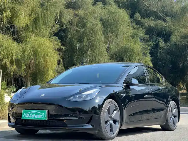 TESLA MODEL 3 2022