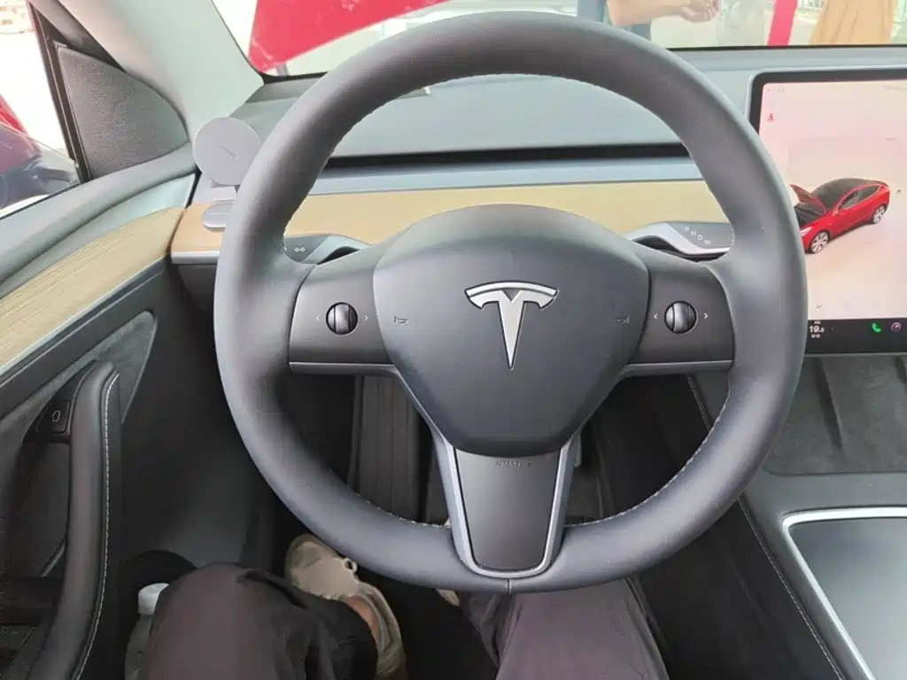 Tesla Model Y — миниатюра 13