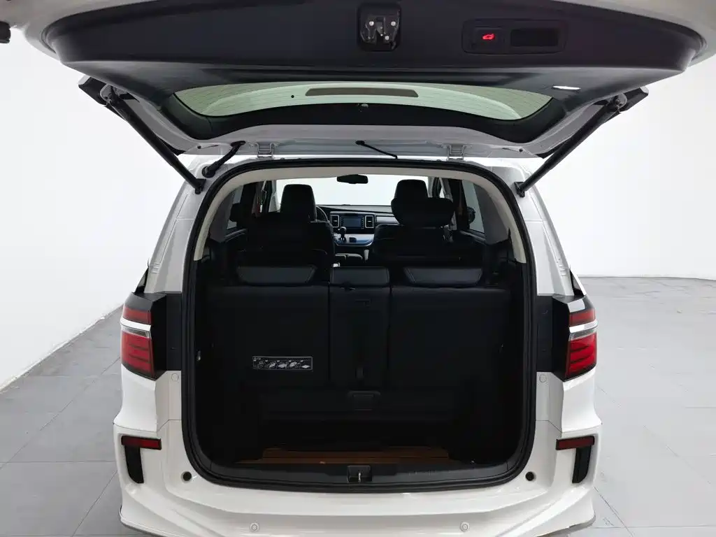 Honda Elysion — миниатюра 16