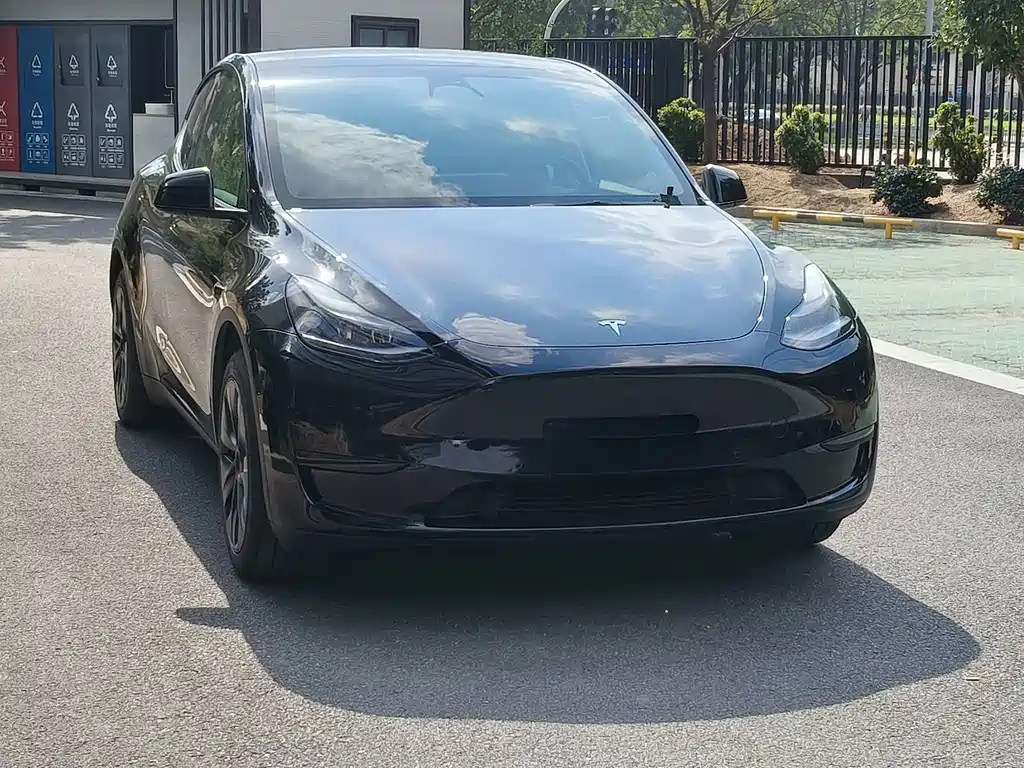 Tesla Model Y — миниатюра 2