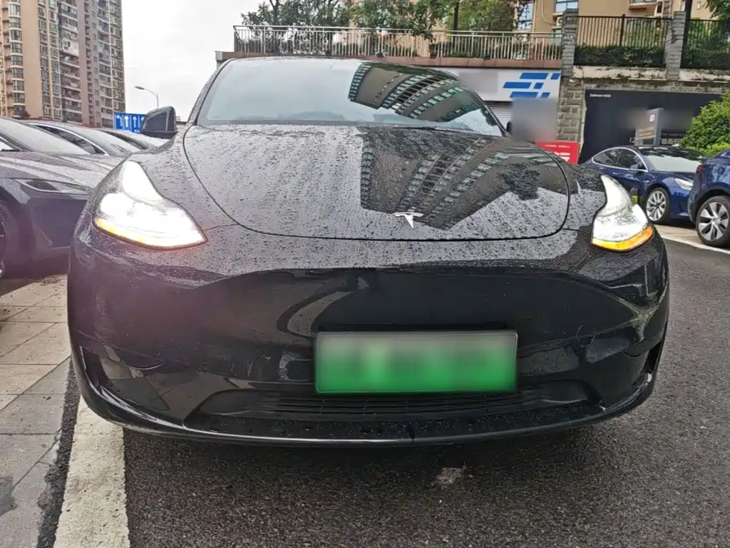 Tesla Model Y — миниатюра 3