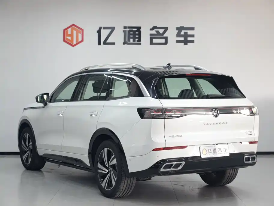 Volkswagen Tavendor — миниатюра 25