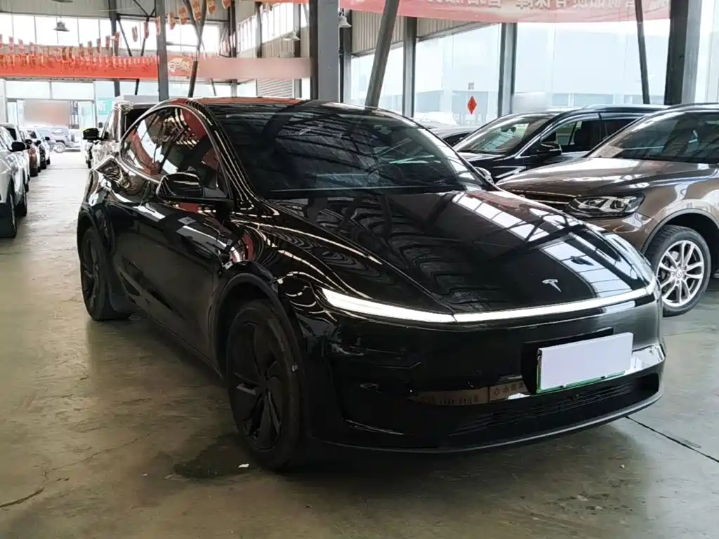 Tesla Model Y — миниатюра 4