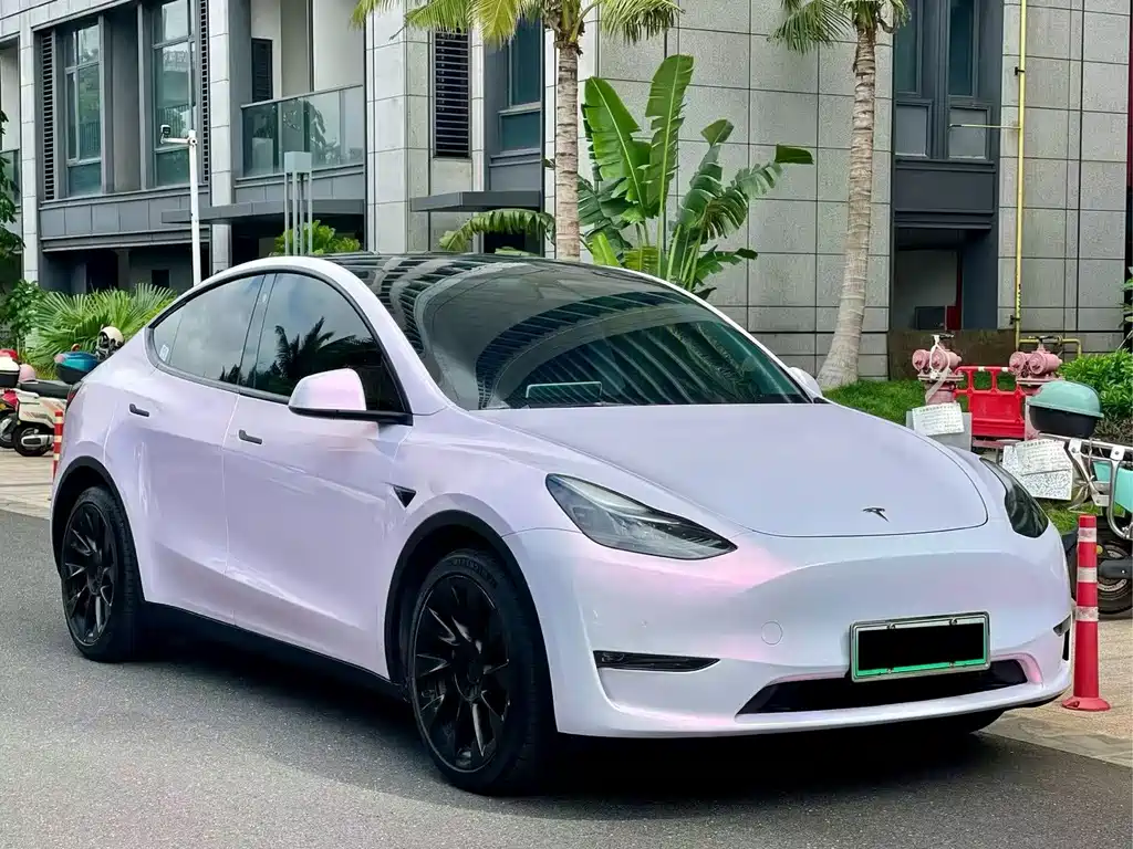 Tesla Model Y — миниатюра 3