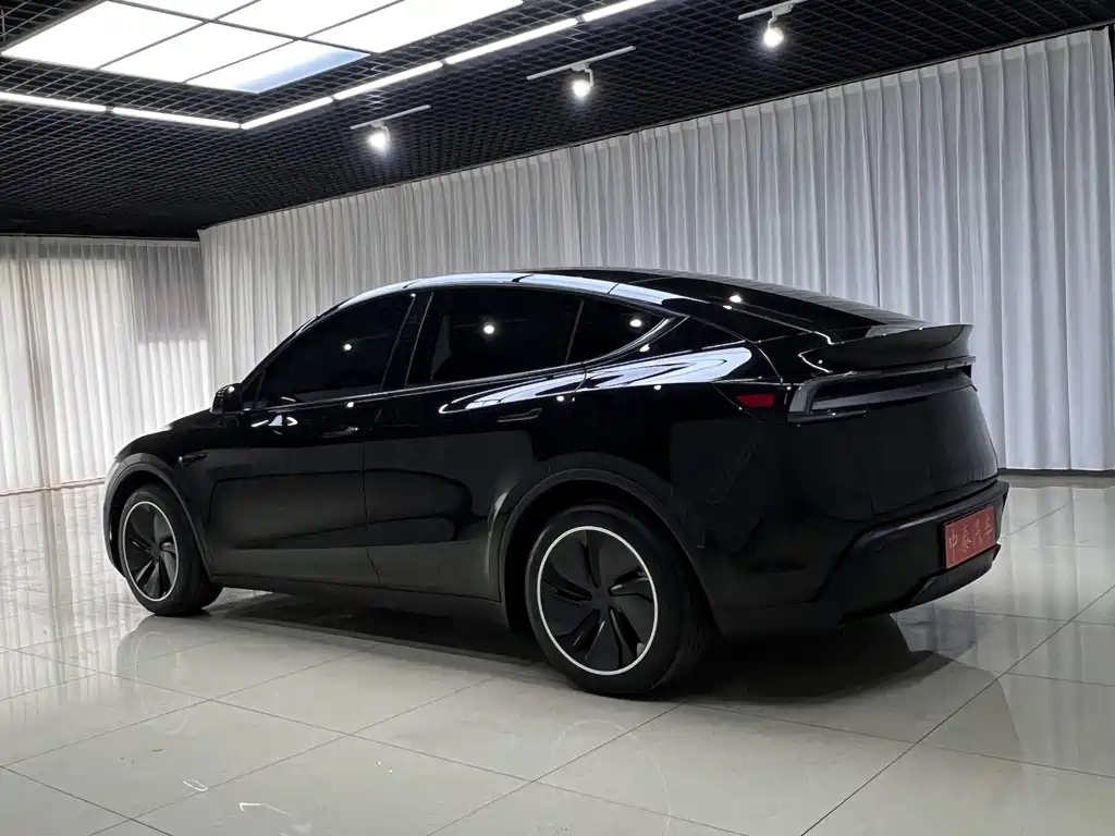 Tesla Model Y — миниатюра 4
