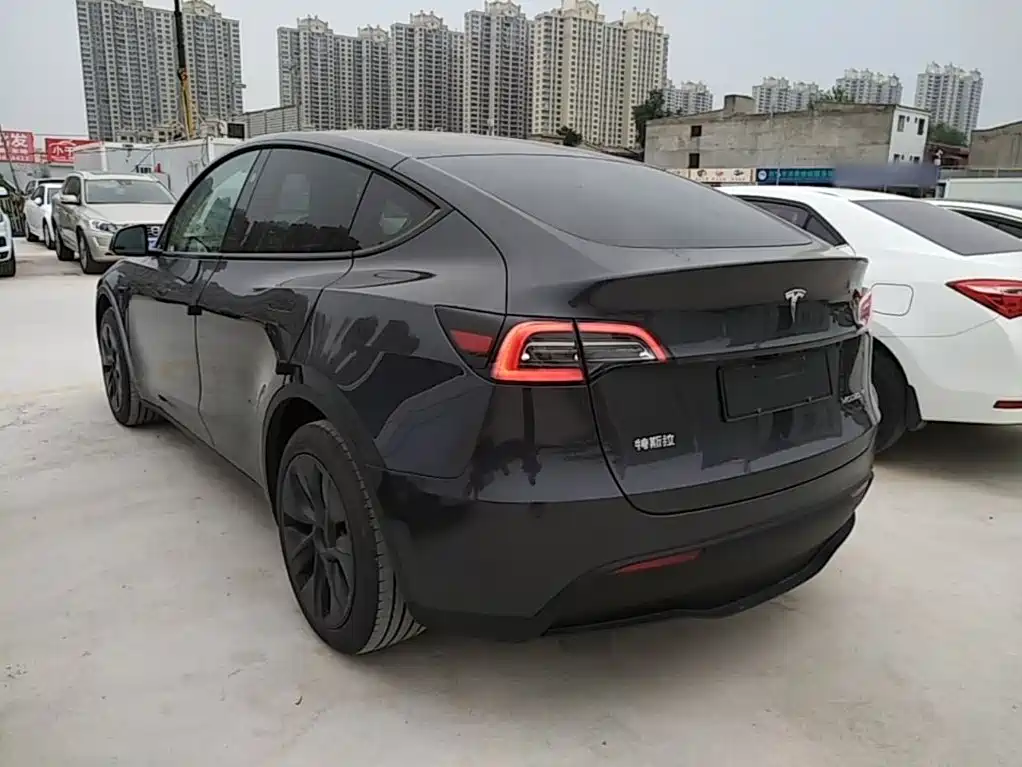 Tesla Model Y — миниатюра 5