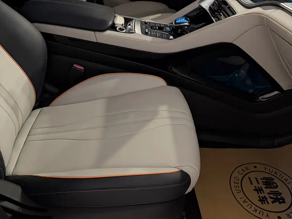 BYD PLUS New Energy — миниатюра 11