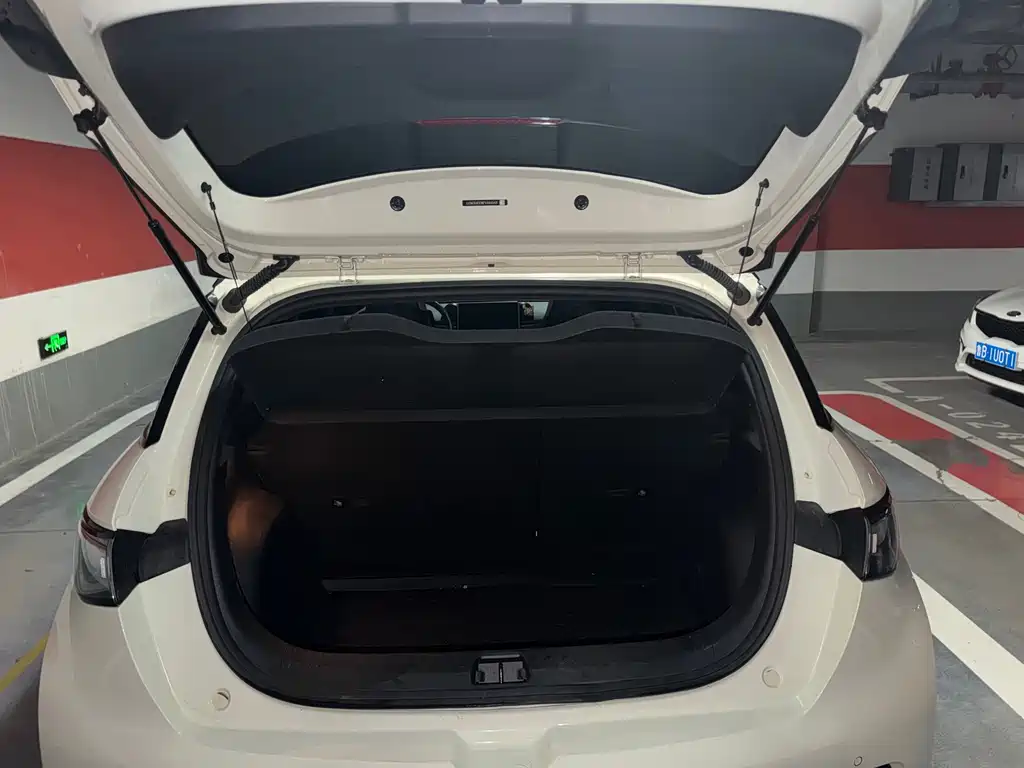 BYD Dolphin — миниатюра 19