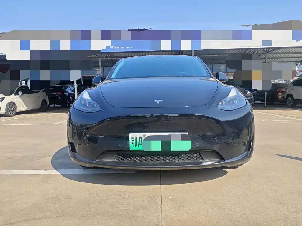 Tesla Model Y — миниатюра 2