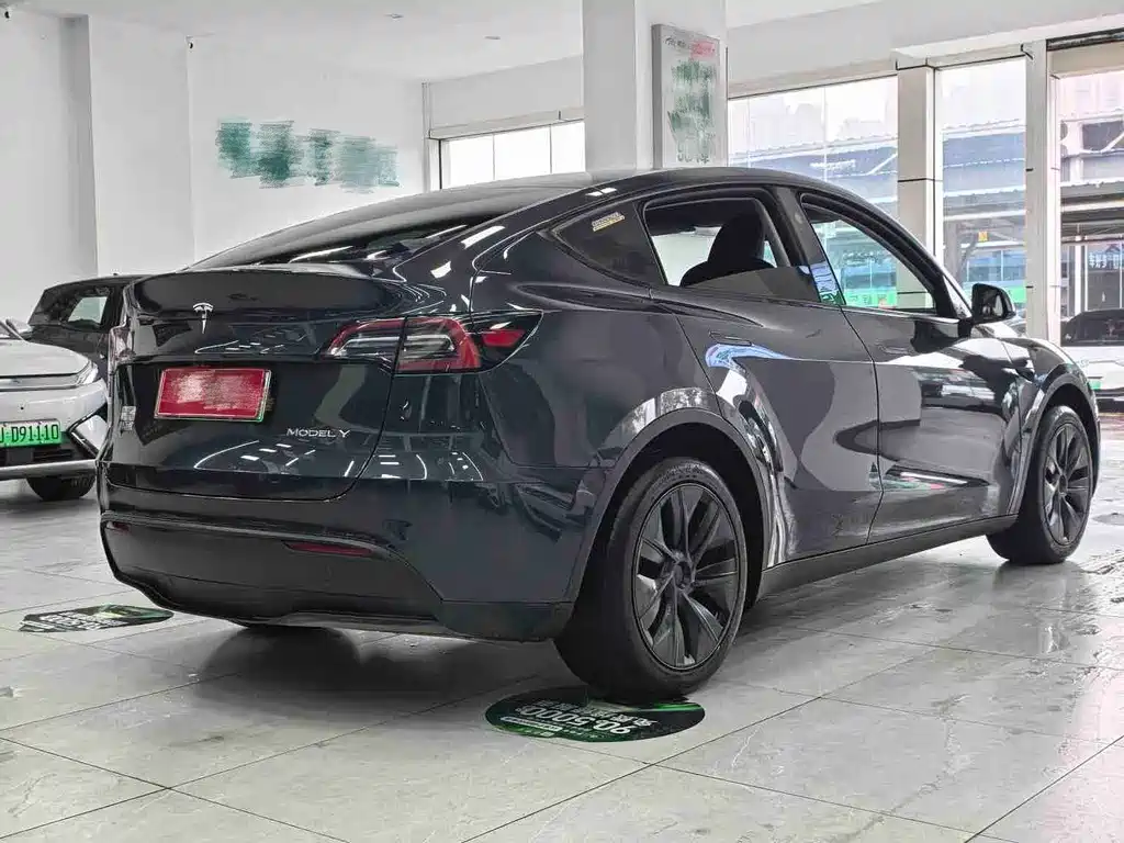 Tesla Model Y — миниатюра 13