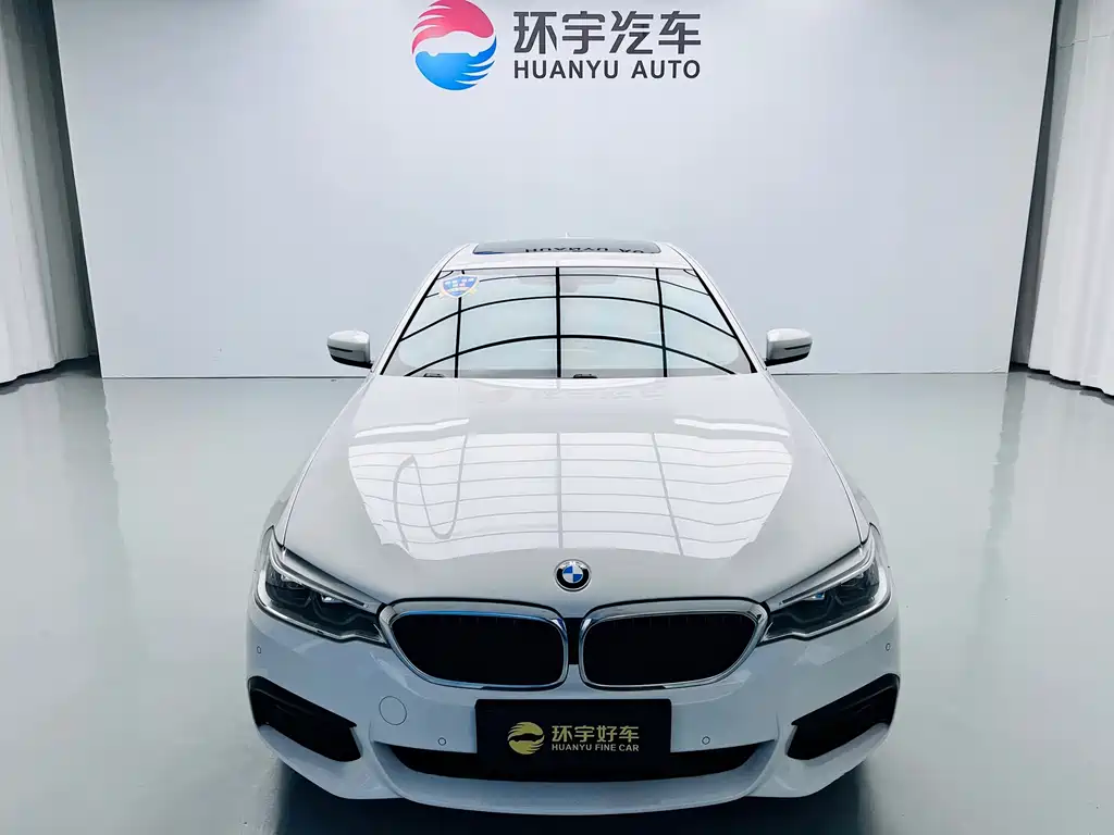 BMW 5 Series (Import) — миниатюра 2