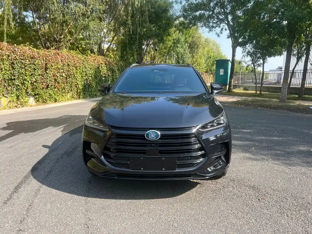 BYD Tang New Energy — миниатюра 2