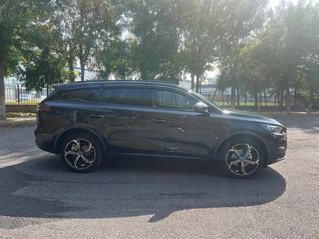 BYD Tang New Energy — миниатюра 4
