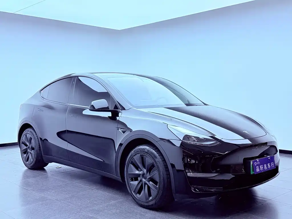 Tesla Model Y — миниатюра 7