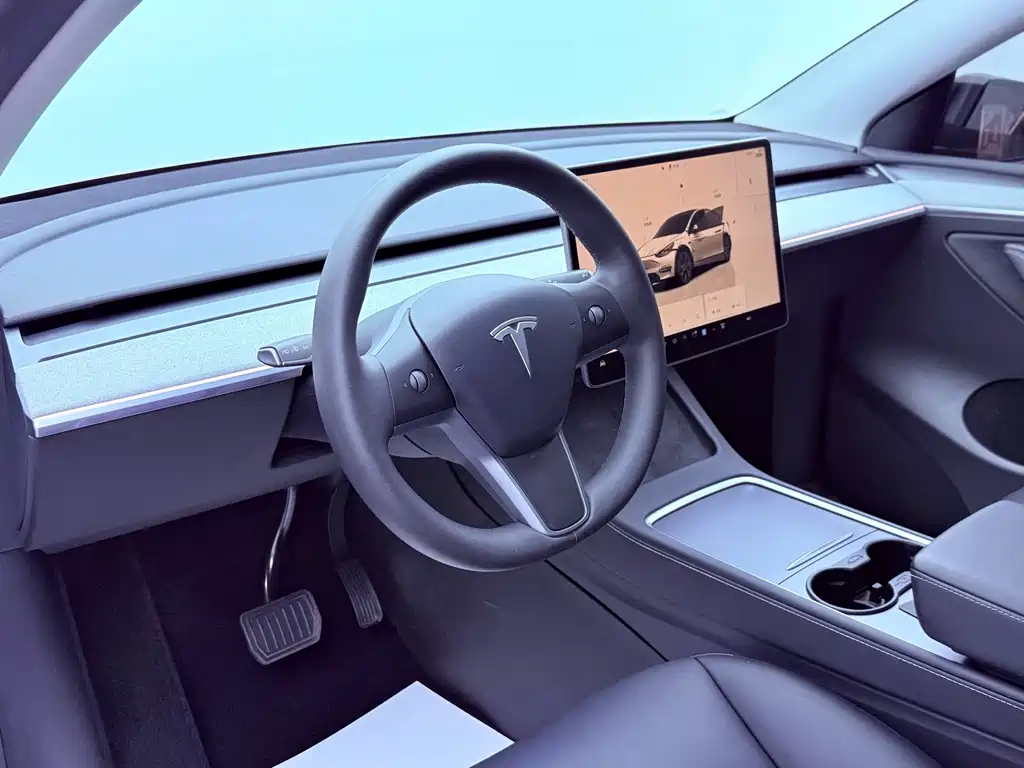 Tesla Model Y — миниатюра 10