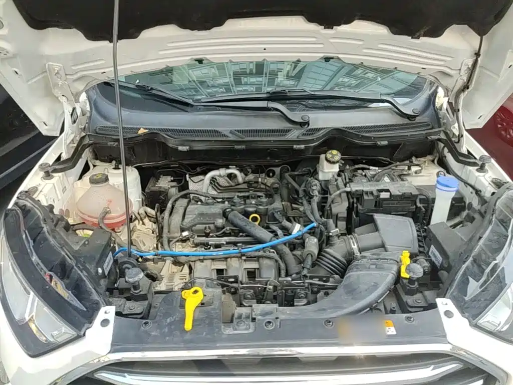 Ford Ecosport — миниатюра 20
