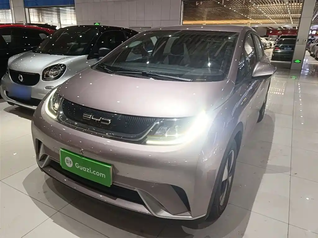 Byd Dolphin 2024