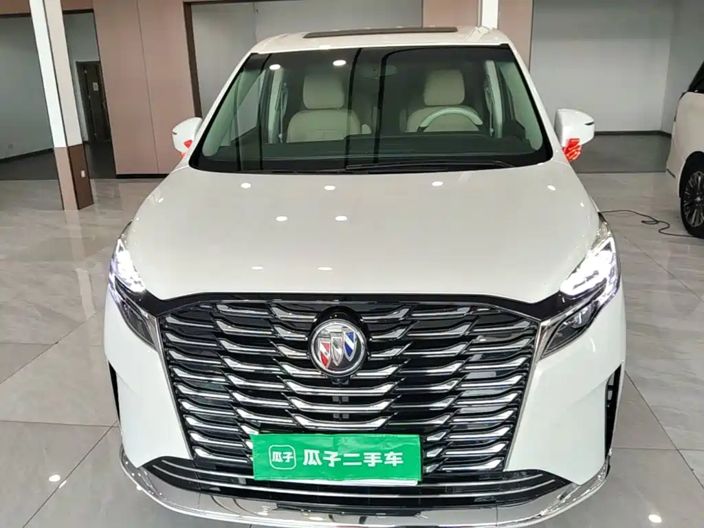 Buick GL8 — миниатюра 3