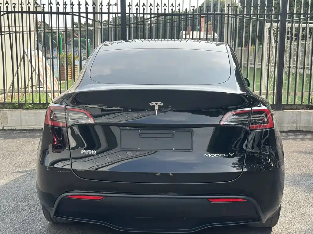Tesla Model Y — миниатюра 15