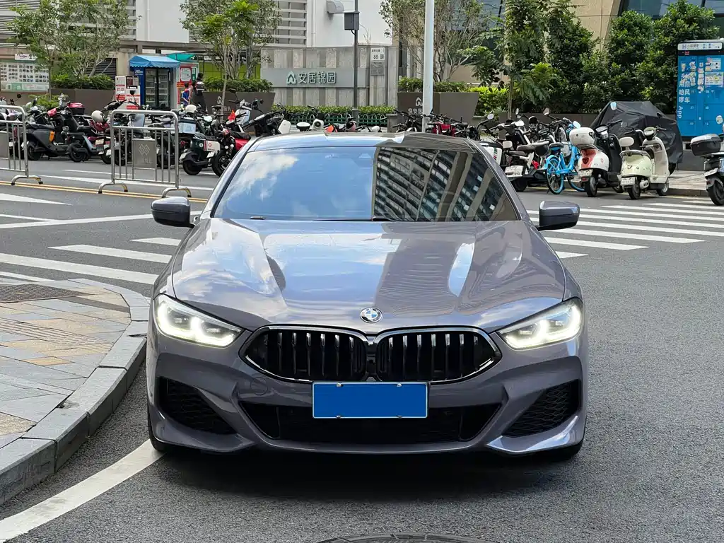 BMW 8 Series — миниатюра 2