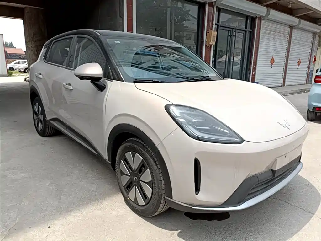 Wuling BinguoS S 2025 325km Premium