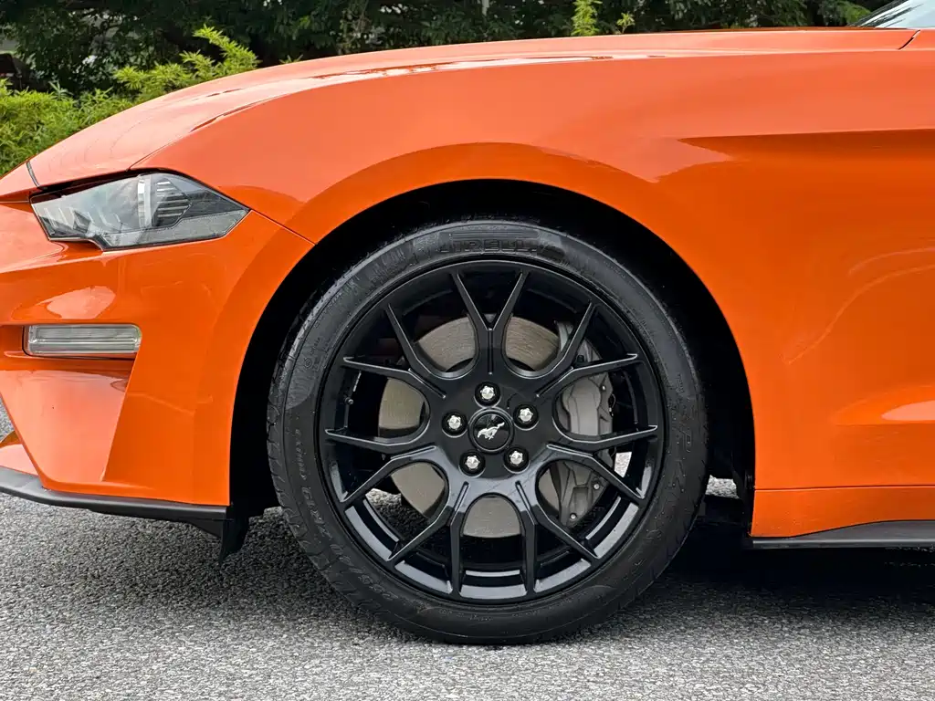 Ford Mustang — миниатюра 16