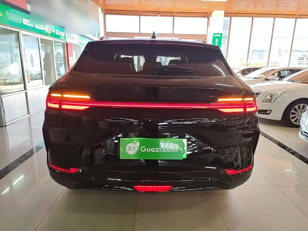 BYD PLUS New Energy — миниатюра 6