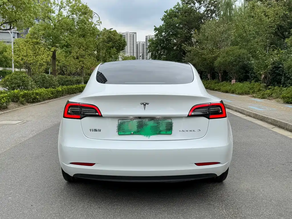 Tesla Model 3 — миниатюра 5
