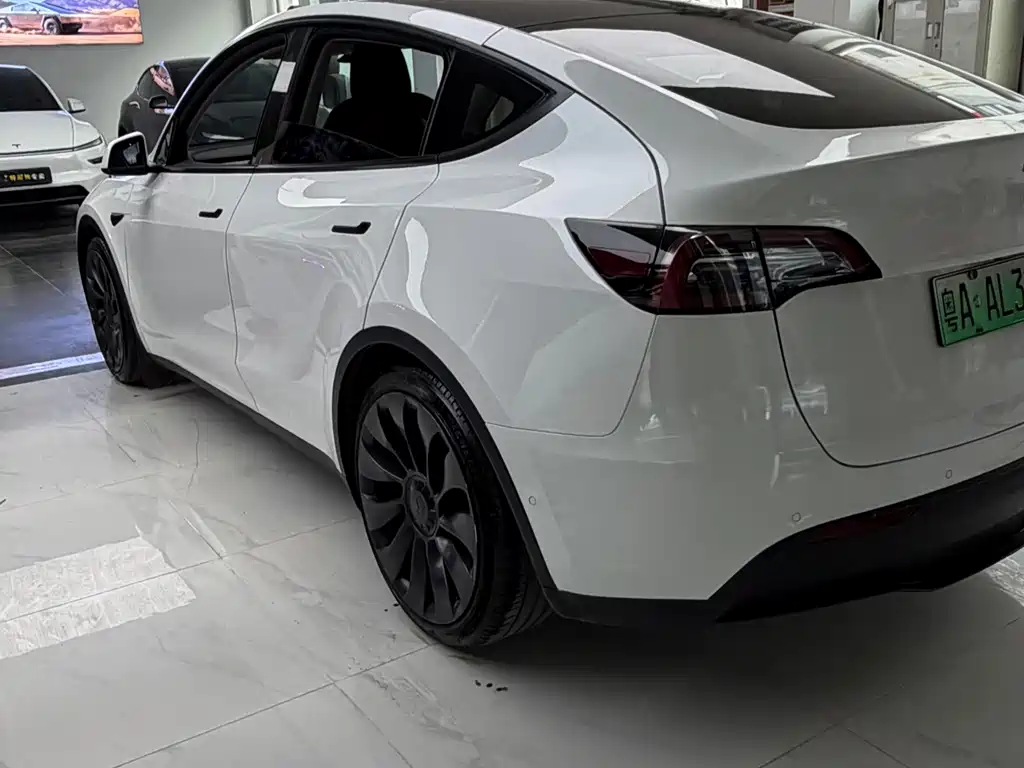 Tesla Model Y — миниатюра 4