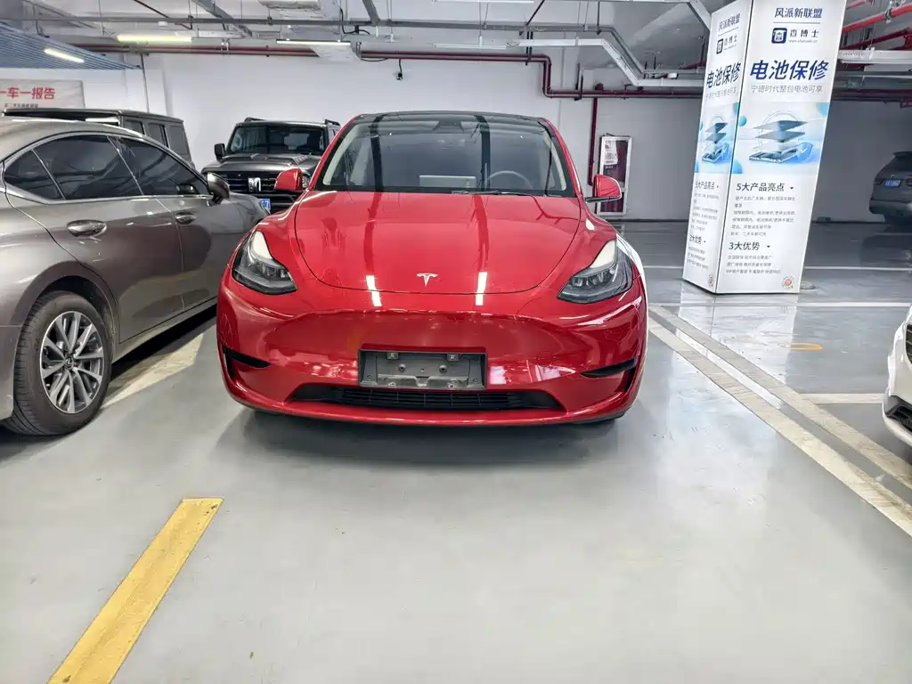 Tesla Model Y — миниатюра 2