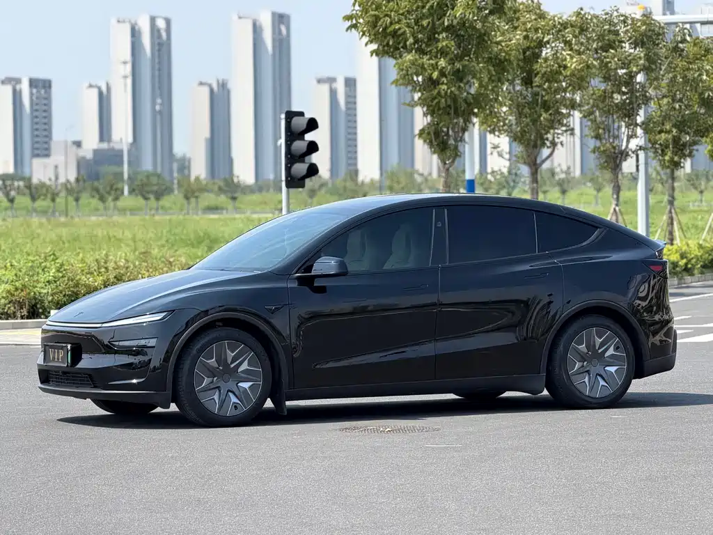 Tesla Model Y L — миниатюра 10