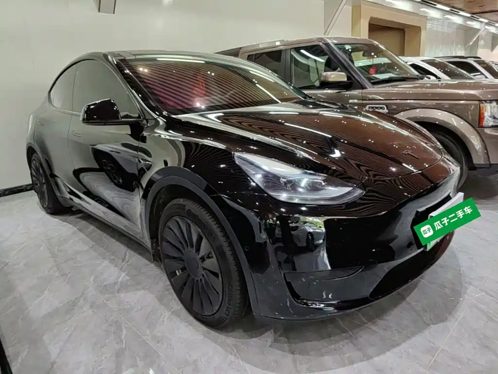 Tesla Model Y — миниатюра 4