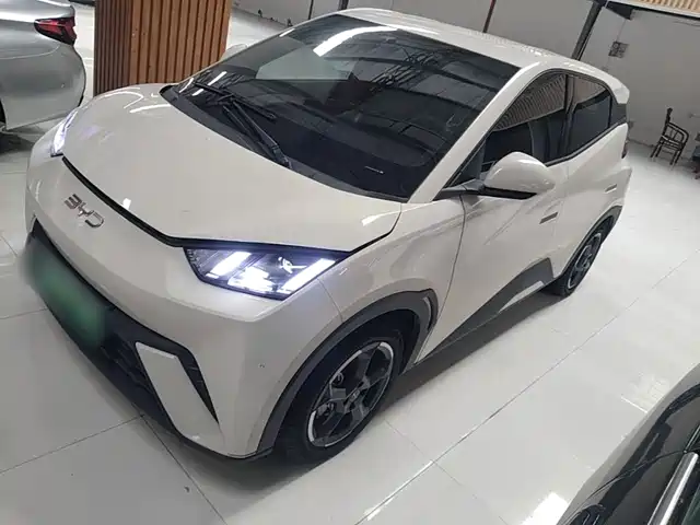 2024 BYD Seagull
