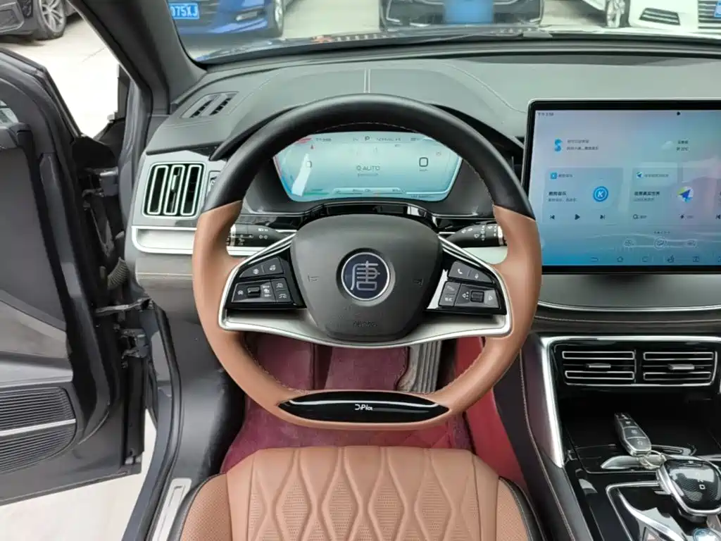 BYD Tang New Energy — миниатюра 11