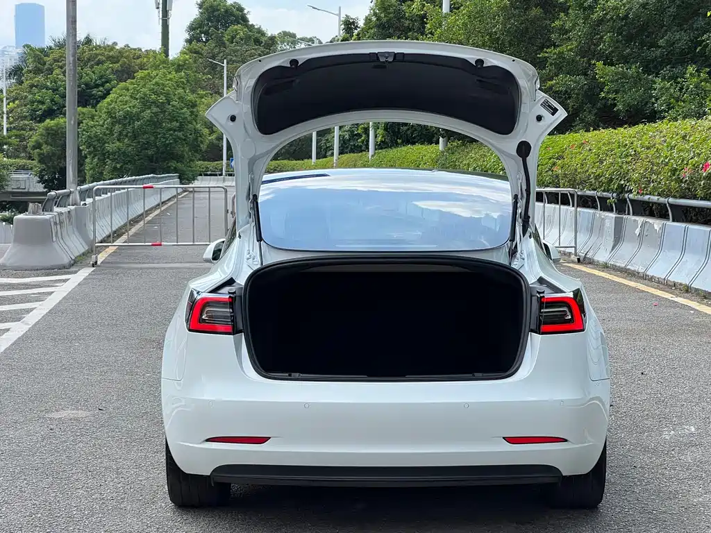 Tesla Model 3 — миниатюра 16