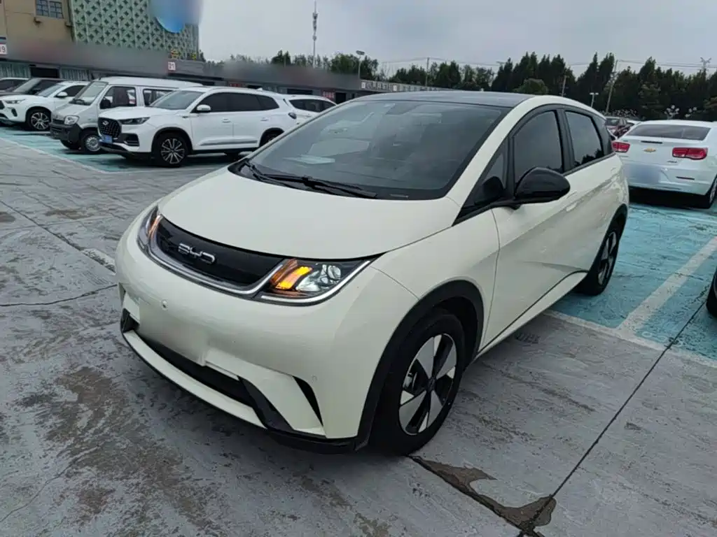 BYD Dolphin — миниатюра 2