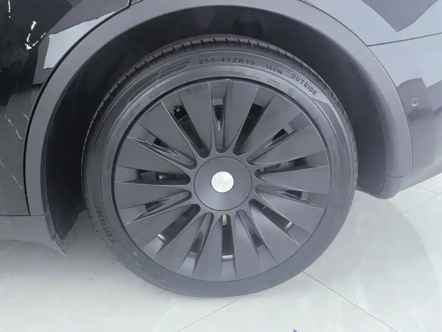 Tesla Model Y — миниатюра 6