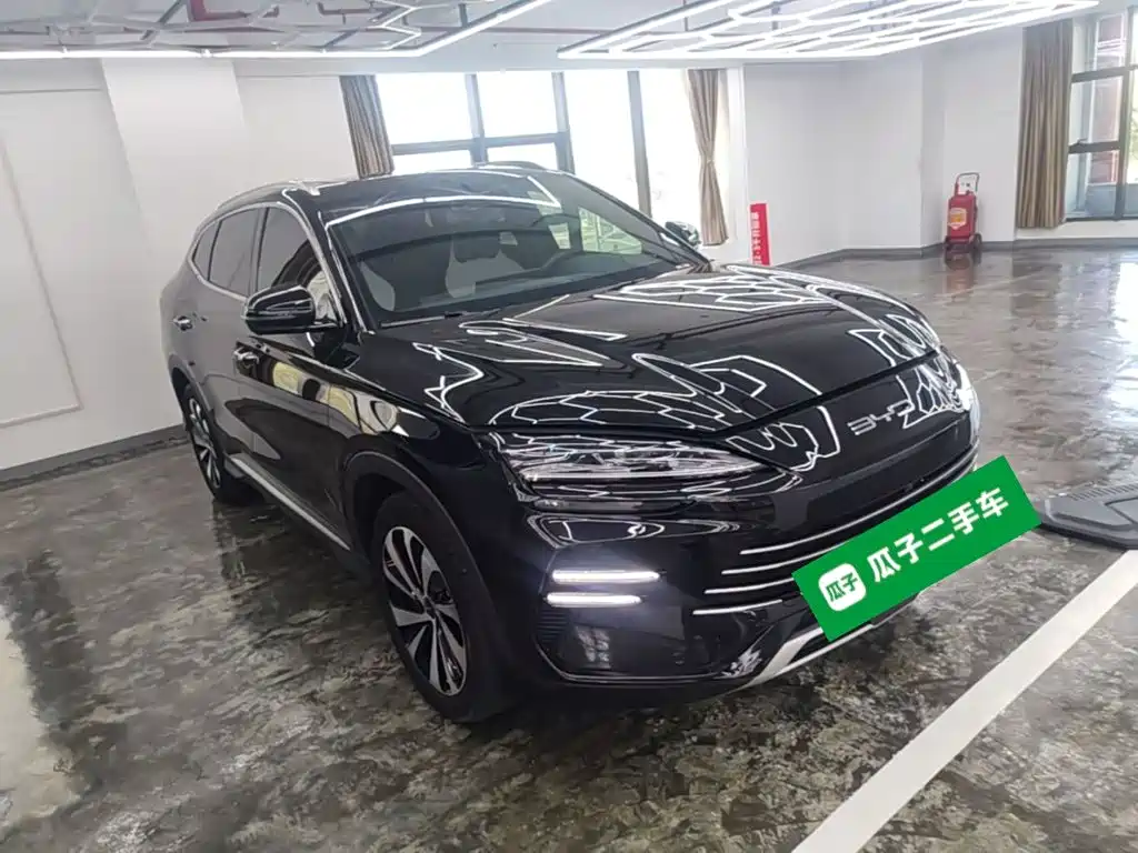 BYD PLUS New Energy — миниатюра 4