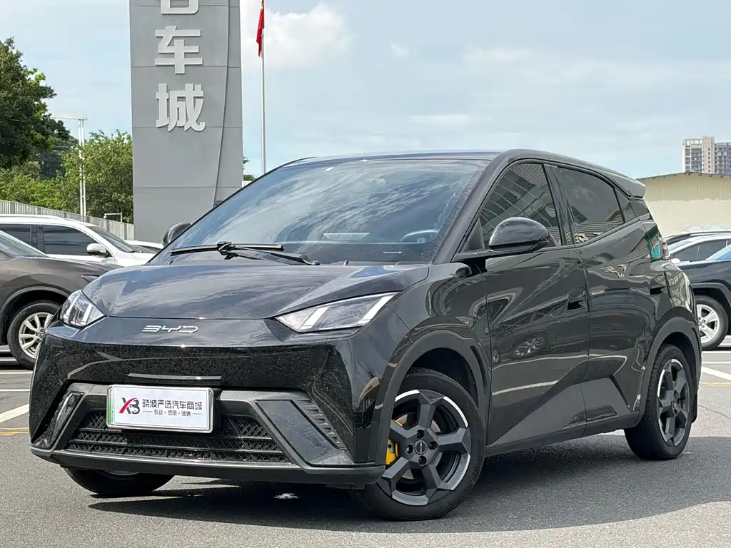BYD Seagull