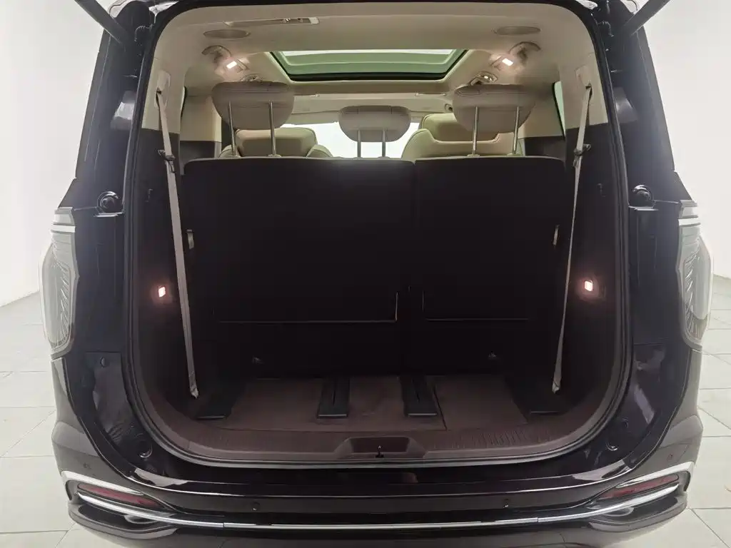 Hongqi Hongqi HQ9 — миниатюра 16