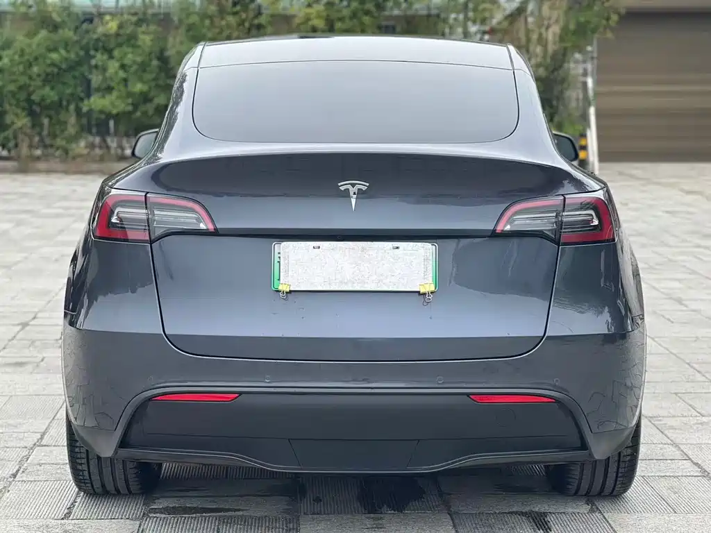 Tesla Model Y — миниатюра 9