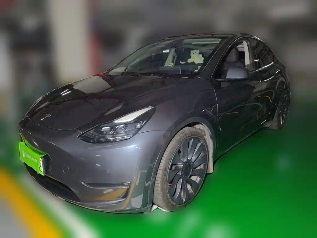 Tesla Model Y — миниатюра 2